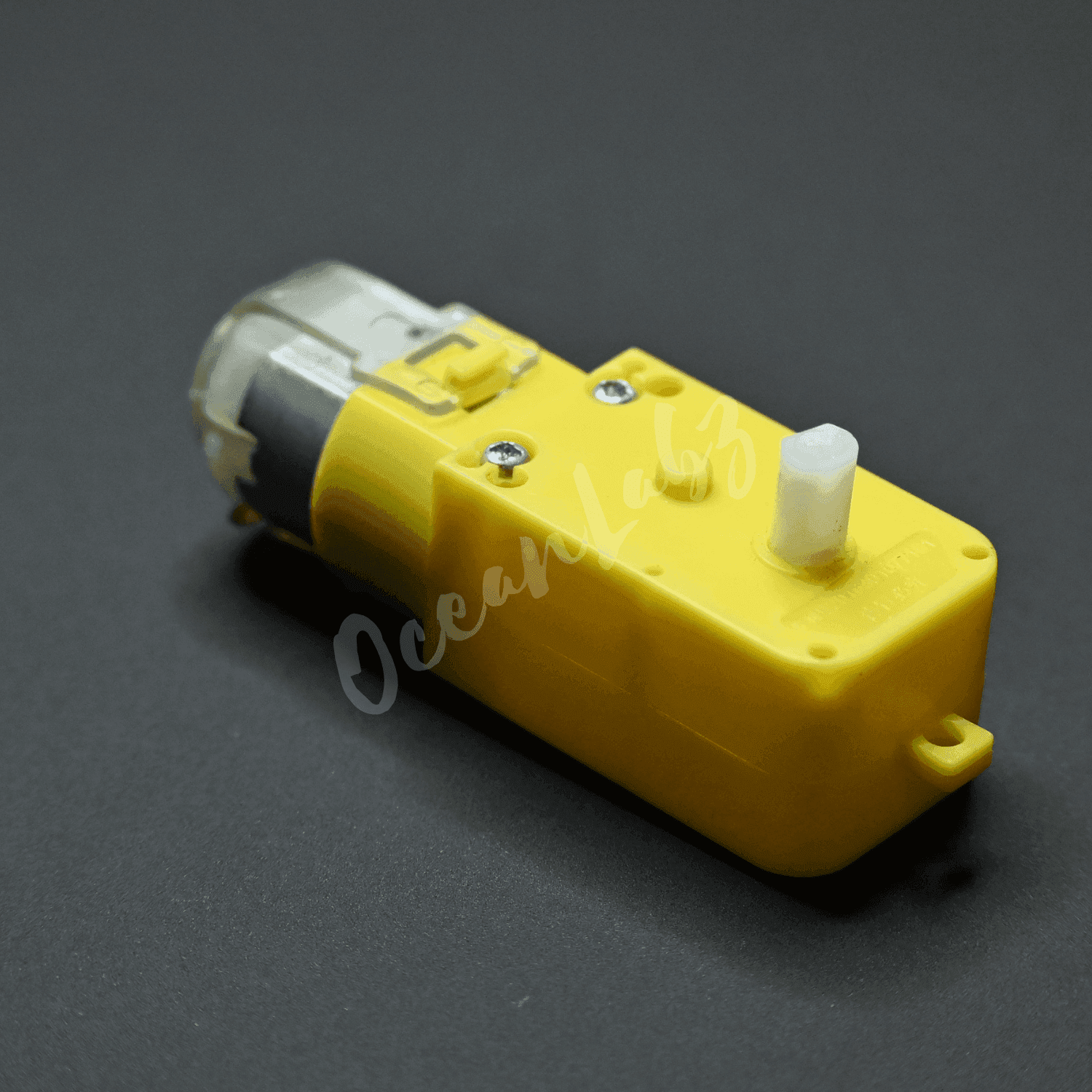 60 RPM Single Shaft BO Motor - Straight